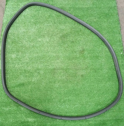 BORRACHA DE PORTA TRASEIRA ESQUERDA C4 CACTUS 2020