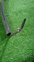 BORRACHA DO CAPO CITROEN C5 ANTIGO