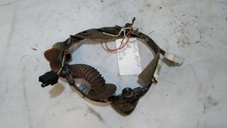 Chicote Porta Dianteira Direita Renault Sandero 2010