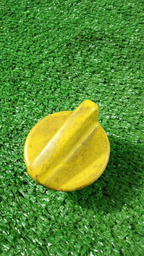 TAMPA DO ÓLEO MEGANE 2.0 16 VÁLVULAS