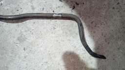 BARRA ESTABILIZADORA CITROEN PICASSO 2.0 16V