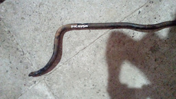 BARRA ESTABILIZADORA CITROEN PICASSO 2.0 16V