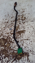 SONDA LAMBDA PEUGEOT 206 1.6 2004