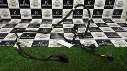 Chicote Motor C4 Cactus 2020