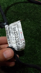 CHICOTE MOTOR C4 CACTUS 2020