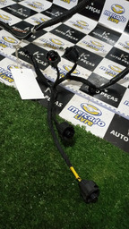 CHICOTE MOTOR C4 CACTUS 2020