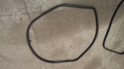 BORRACHA PORTA RENAULT SCENIC *VALOR UNITARIO