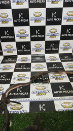 CHICOTE MOTOR ARRANQUE COMPRESSOR C4 PICASSO