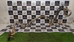 Mangueira Ar Condicionado Peugeot 307 2.0 16 Válvulas 2005