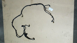 Chicote Bateria C4 Cactus 2020