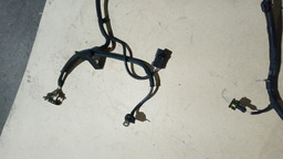 CHICOTE BATERIA C4 CACTUS 2020