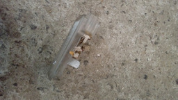 LUZ TETO CORTESIA PEUGEOT 206 ORIGINAL