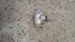 Pisca Para Lama Peugeot 206