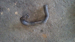 MANGUEIRA DIVERSAS CONSULTE ESTOQUE PICASSO 2.0 16V *UNIDADE