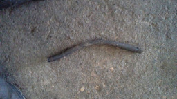 MANGUEIRA DIVERSAS CONSULTE ESTOQUE PICASSO 2.0 16V *UNIDADE