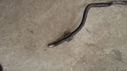 BARRA ESTABILIZADORA RENAULT SCENIC 2.0 8V