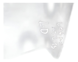 PARA LAMA DIREITO  LOGAN 07/13