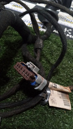 CHICOTE PORTA TRASEIRA DIREITA C4 PICASSO 2012 2.0