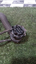 CHICOTE PORTA TRASEIRA DIREITA 207 SW 2009