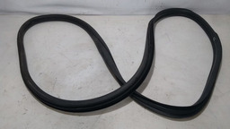 BORRACHA PORTA TRASEIRA ESQUERDA PEUGEOT 307 HATCH 2010