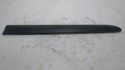 FRISO PORTA TRASEIRA DIREITA RENAULT CLIO 2007