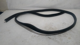 BORRACHA PORTA TRASEIRA DIREITA RENAULT CLIO 2007