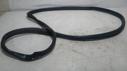 BORRACHA PORTA TRASEIRA ESQUERDA RENAULT CLIO 2002