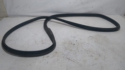 BORRACHA PORTA TRASEIRA DIREITA RENAULT CLIO 2002