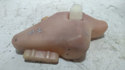 Reservatório Combustível Renault Clio 2007