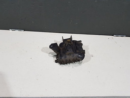 MAÇANETA INTERNA PORTA T.E. CITROEN C8