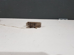 LUZ CORTESIA CITROEN C8 2004