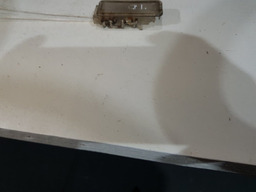 LUZ CORTESIA CITROEN C8 2004