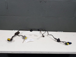 CHICOTE PORTA TRASEIRA ESQUERDA CITROEN C8 2004