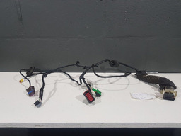 CHICOTE PORTA D.E. CITROEN C8 2004