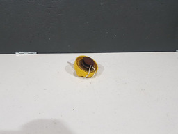 Tampa Do Oleo Do Motor Renault Sandero Logan 1.6 8v