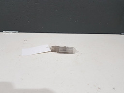 Luz Cortezia Porta Renault