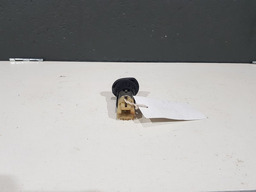 TOMADA 12V SANDERO 2010