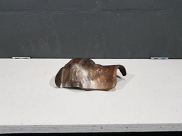 DEFLETOR BOMBA DGUA PEUGEOT 307 2.0 16V