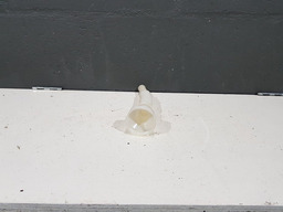 GARGALO RESERVATORIO ESGUICHO AGUA PEUGEOT 207