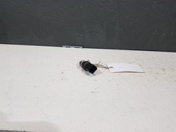 PRESSOSTATO AR CONDICIONADO CITROEN C8 2004