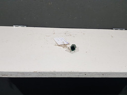 Sensor Temperatura Agua Citroen C8 2004