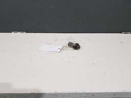 SENSOR PRESSÃO OLEO MOTOR CITROEN C8 2004