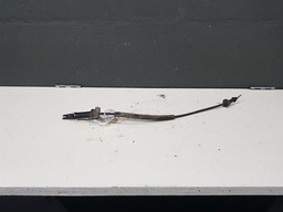 CABO PORTINHOLA CITROEN C8 2004