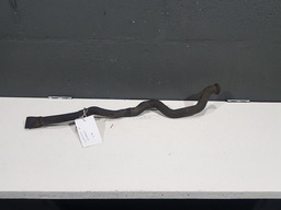 Mangueira Saida Agua Drenagem Churrasqueira Citroen C8 2004