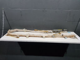 AIRBAR TETO LADO 'D CITROEN C8 2004