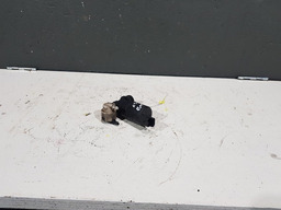 MOTOR BOMBA ESGUICHO AGUA PARA BRISA DIANTEIRO XSARA PICASSO