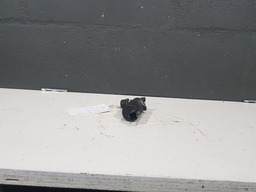 Motor Bomba Dagua Reservatorio Esguicho Para Brisa C8