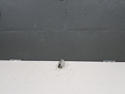 LUZ CORTESIA PORTA LUVAS PEUGEOT 307