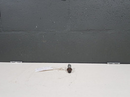 SENSOR PRESSÃO OLEO PEUGEOT 307 2.0 16V