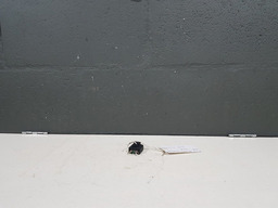 Plug Chicote Pedal De Acelerador Eletronico Peugeot 307